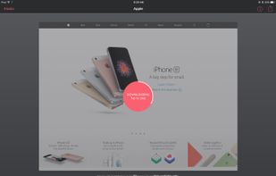 Offline Kiosk screenshot 1