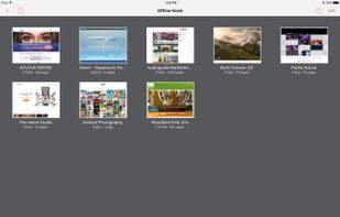 Offline Kiosk screenshot 1