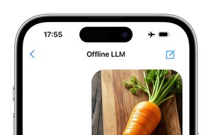 Offline LLM screenshot 2