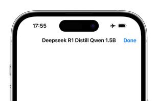 Offline LLM screenshot 3