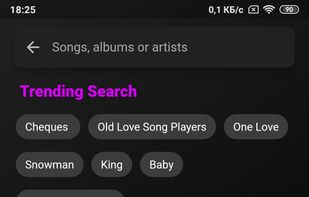 Offline Music Player for Android screenshot 3