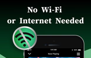Offline Music Player screenshot 1