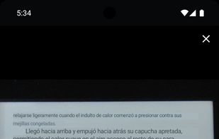 Offline Translator screenshot 2