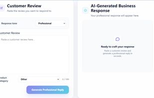 input review,generate reply instantly