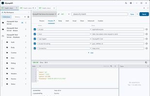 Sending Request from Imported Collection - Light Mode