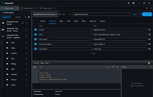 Sending Request from Imported Collection - Dark Mode