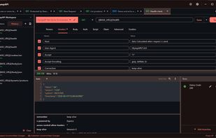 Request History and Sending Request with Header Information