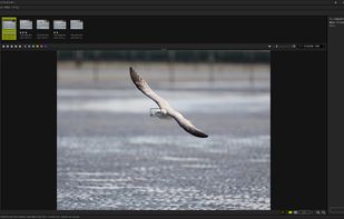 OM Workspace screenshot 1