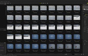 OM Workspace screenshot 1