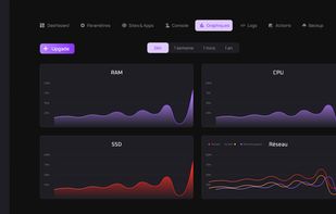 Omega Cloud control panel: real-time RAM, CPU, SSD and network monitoring