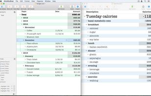 OmniOutliner screenshot 3