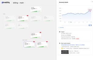 Structure your costs by business context, detect anomalies early, and understand their root causes.