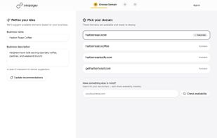 Step 1: Domain selection