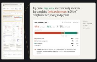 One report shows what users praise, what they complain about and how often, with the share for each theme.