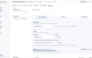 OneSuite project budgeting feature