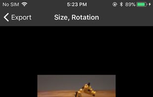 Onion Cam2 screenshot 3