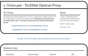 Onion.pet screenshot 1