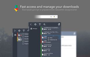 Online Download Manager screenshot 1