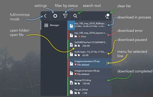 Online Download Manager screenshot 2