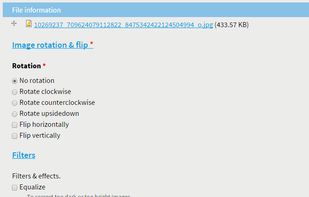 Online-pdf screenshot 1