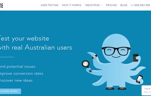 Online User Testing - TestMate screenshot 1