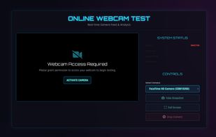 Online Webcam Test screenshot 1