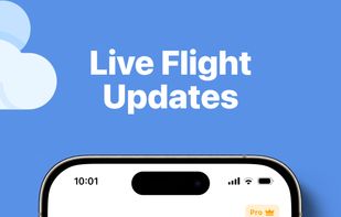 OnlyFlights - Flight Tracker screenshot 1