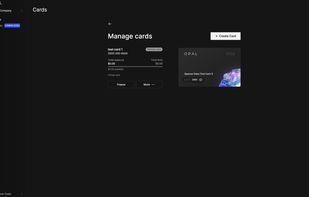 Opal Spend screenshot 1