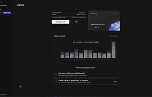 Opal Spend screenshot 1