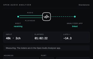 The plugin has no meters of its own. It streams the DAW's audio and transport to the application.
