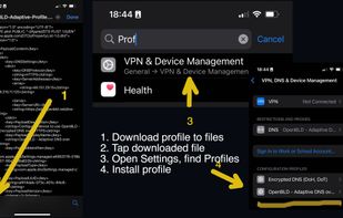 How to setup OpenBLD.net DNS in iPhone