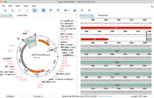 Open Vector Editor Electron screenshot 1