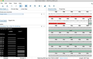 Open Vector Editor Electron screenshot 2