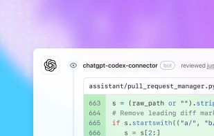 OpenAI Codex screenshot 1