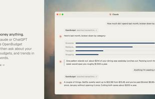 OpenBudget AI screenshot 1
