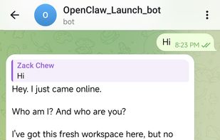 Live Telegram bot — deployed and chatting within seconds. Powered by Claude, GPT, or Gemini.