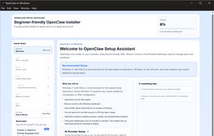 Guided installer walking through OpenClaw setup on Windows