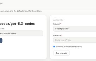 LLM Providers management