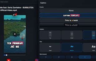 Animated subtitle templates with instant preview and adjustable styles.