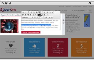 OpenCms screenshot 1