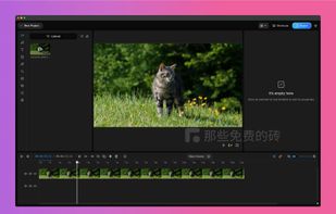 OpenCut screenshot 1