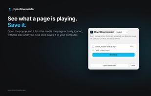 OpenDownloader screenshot 1