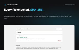OpenDownloader screenshot 2