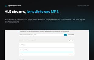 OpenDownloader screenshot 1