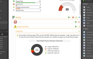 SEO & site quality assistant