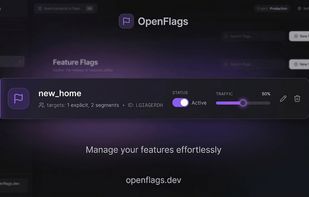 OpenFlags screenshot 1