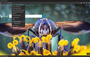 OpenInPrivate screenshot 1