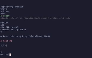 openleetcode screenshot 1