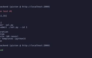 openleetcode screenshot 3