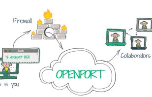 Openport screenshot 1